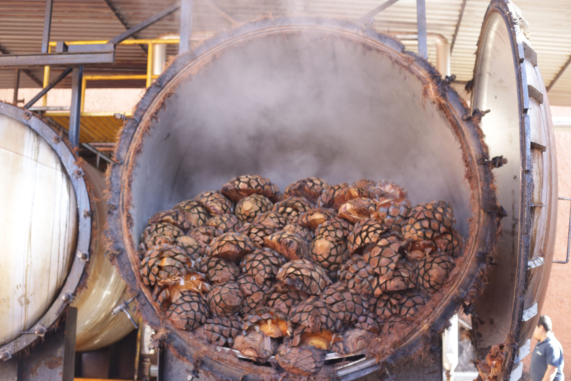 Eine Autoclave nach dem Kochen im Tequila Produktionsprozess