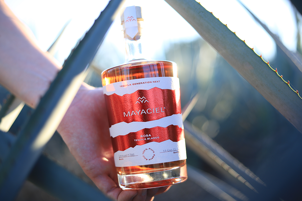 Eine Flasche MAYACIEL Tequila Rosa auf einem Agavenfeld