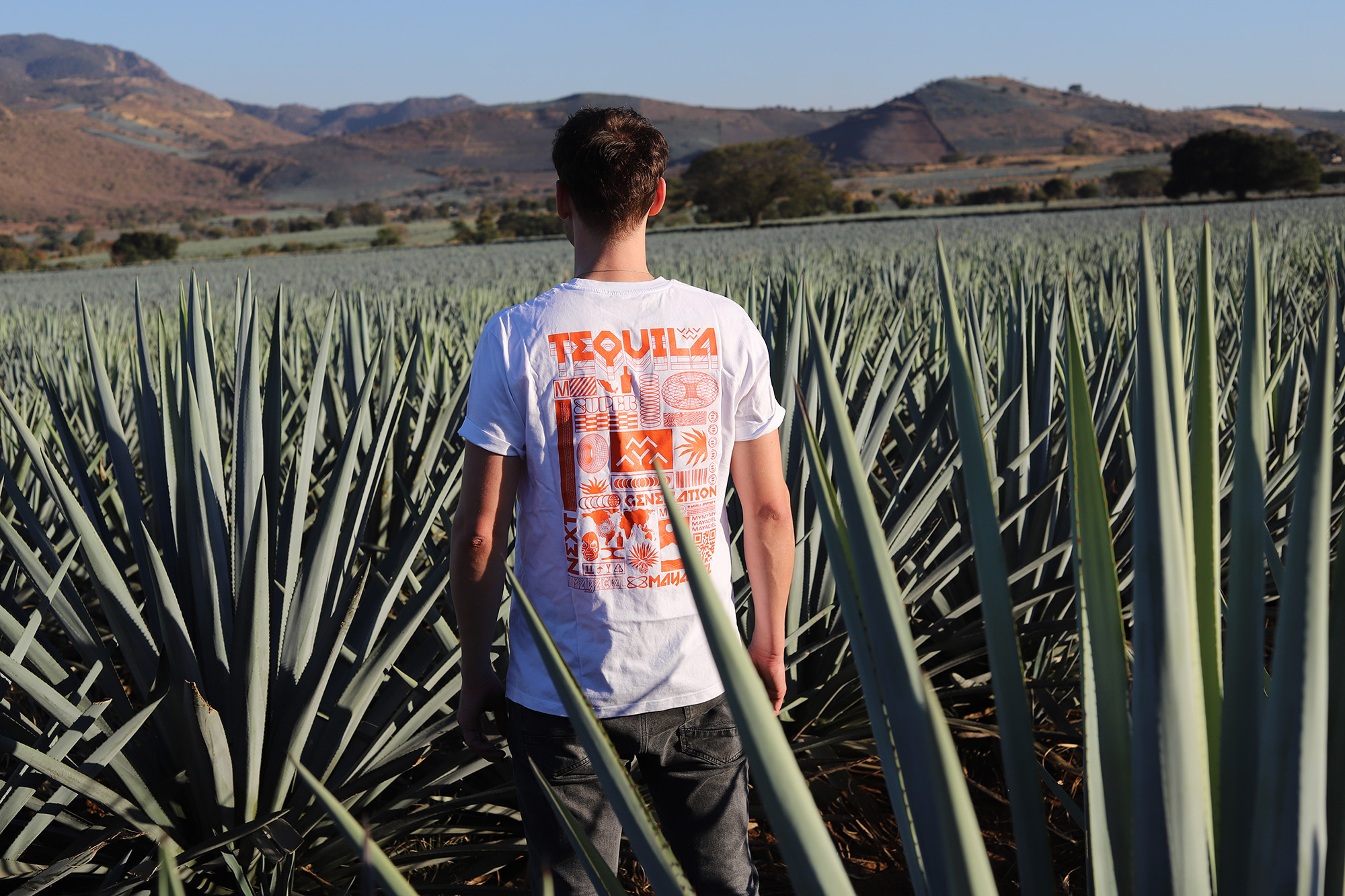 MAYACIEL Signature T-Shirt weiss von hinten auf einem Agavenfeld